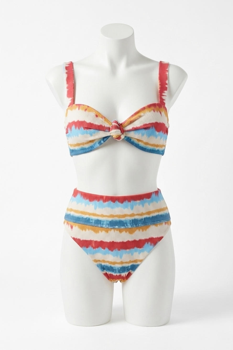 NEW BEACH RIOT sophia top in primary dip dye